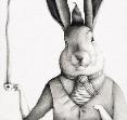Alice's Hare by Ester Garcia