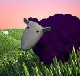 Baa Baa Black Sheep by Chay Hawes