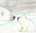 Polar Bears by Nora Hilb