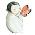 Butterfly Baby by Sophie Blackall