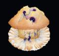 Blueberry Muffin by Elsa Warnick