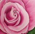 Rose by Gabriele Utz
