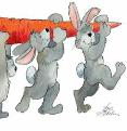 Rabbits by Hans Wilhelm