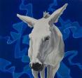 Donkey 13  by John Scane