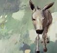 Donkey 96  by John Scane